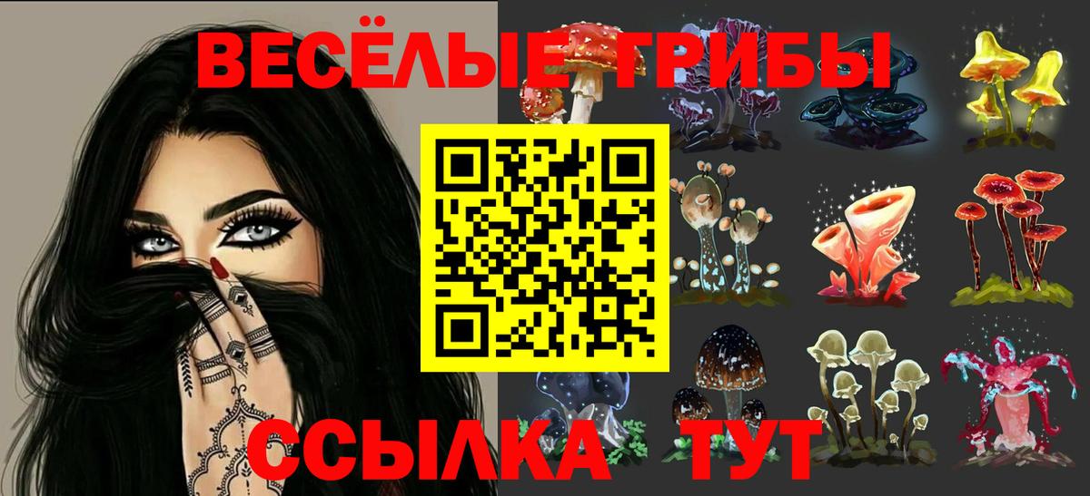 Псилоцибиновые грибы мухоморы  Вход с VPN  Будённовск 