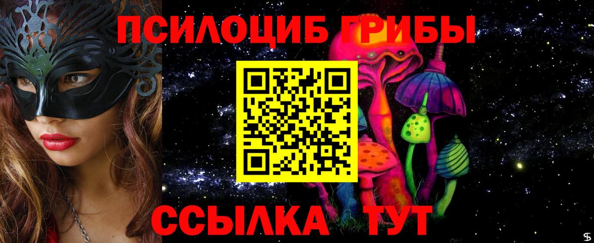 Псилоцибиновые грибы Psilocybe Будённовск